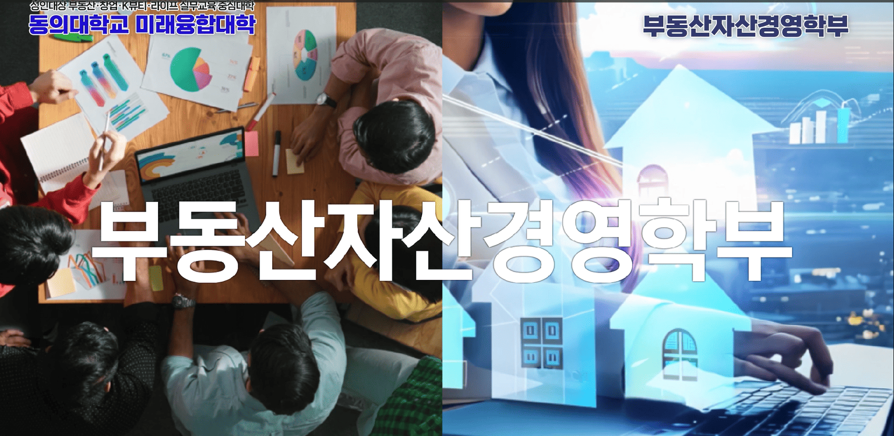 부동산자산경영학부